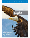 Flight - The Genius Of Birds