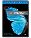 Metamorphosis - The Beauty and Design Of Butterflies