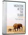 Migration After The Flood